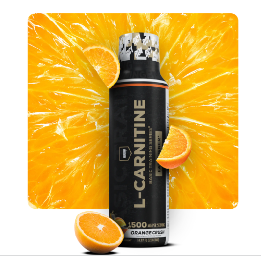 REDCON1 - BASIC TRAINING L-CARNITINE LIQUID 1500MG 30SV ORANGE REDCON1 - BASIC TRAINING L-CARNITINE LIQUID 1500MG 30SV ORANGE