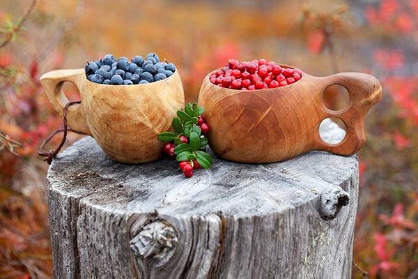 Health Benefits of Nordic Superberries