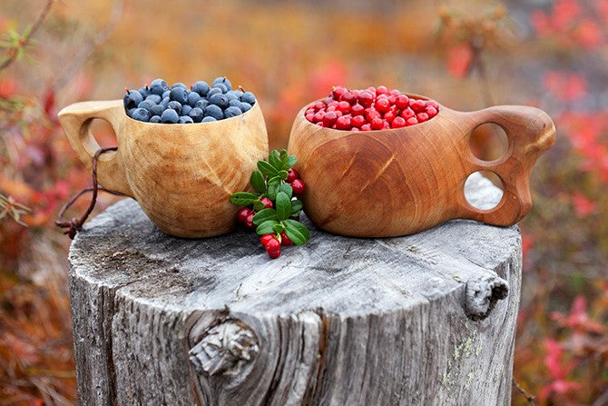 Health Benefits of Nordic Superberries