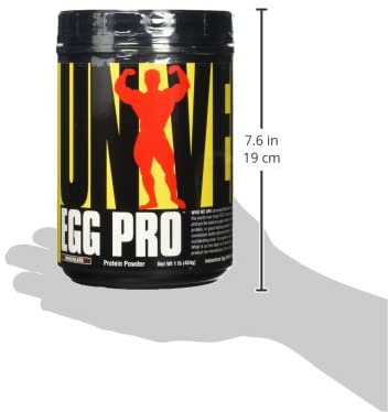 UNIVERSAL NUTRITION EGG PROTEIN 1LB CHOCOLATE